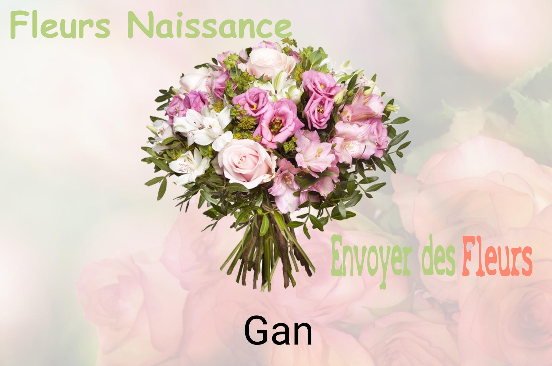 Bouquet de fleurs de naissance livré à Gan